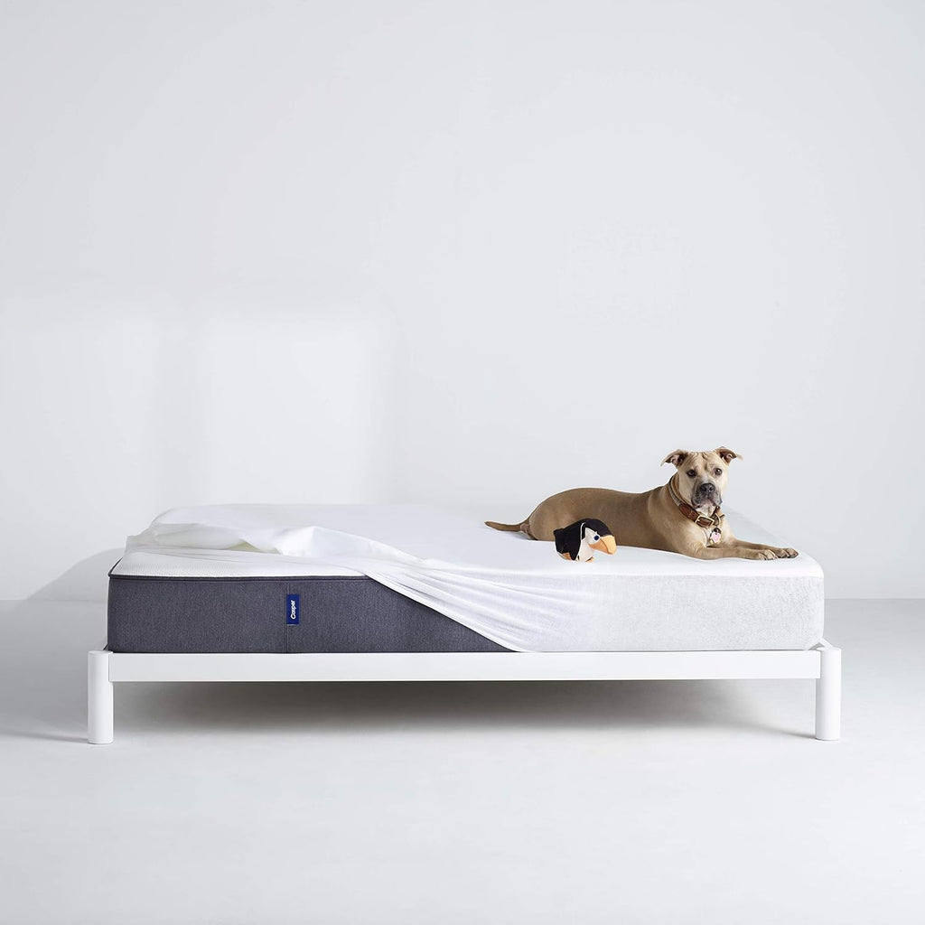 White Waterproof Queen Mattress Protector